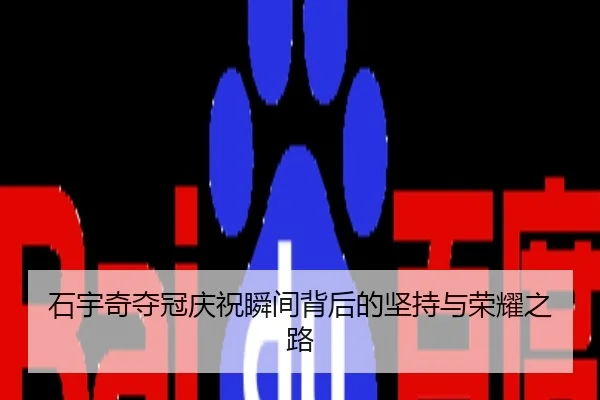 石宇奇夺冠庆祝瞬间背后的坚持与荣耀之路