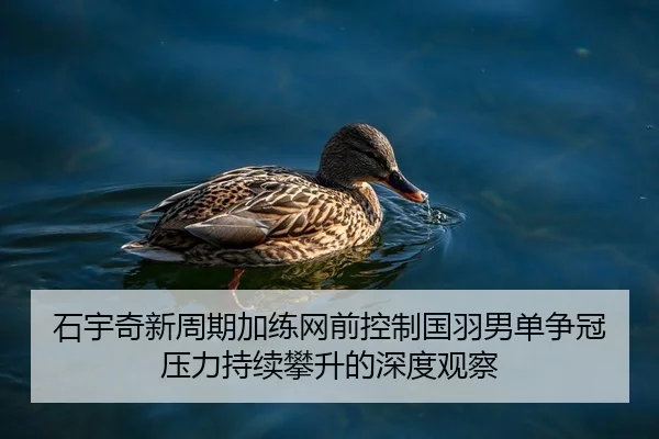 石宇奇新周期加练网前控制国羽男单争冠压力持续攀升的深度观察